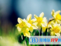 泸州2021年中考推荐生自荐信