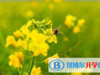 泸州2021年中考要求