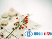 泸州2021年中考应对策略