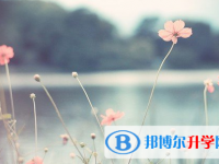 泸州2021年中考重点复习