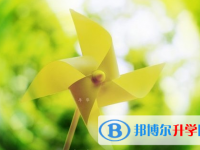 泸州2021年中考需要准备什么