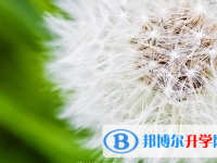 泸州2021年中考失利怎么办