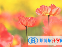 泸州2021年中考如果未被录取怎么办