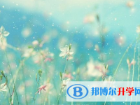 泸州2021年中考哪个地方最难