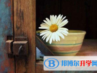 泸州2021年中考没考好怎么办