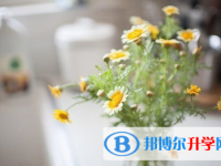 泸州2021年中考落榜了怎么办