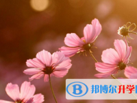 泸州2021年中考考试要带什么