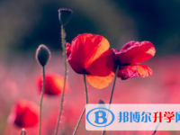泸州2021年中考紧张怎么办