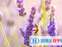 泸州2021年中考焦虑怎么办