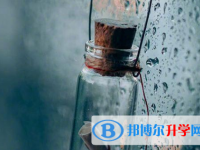 泸州2021年中考报名自荐信怎么写