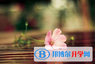 泸州2021年什么时候中考