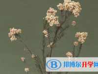 泸州2021年孩子中考家长怎么做