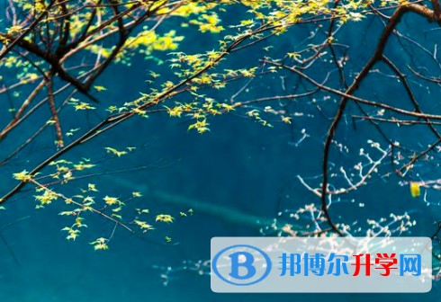 泸州2021年孩子中考没考好如何安慰