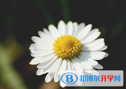 泸州2021年优志愿中考版