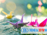 德阳2021年中考改革