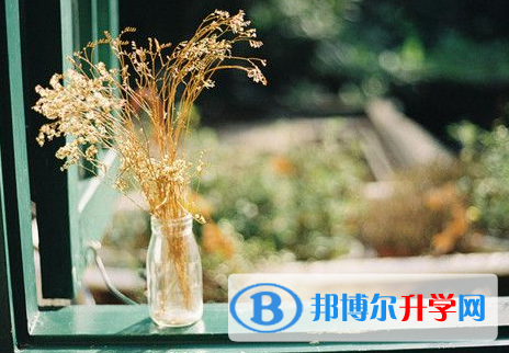 德阳2021年中考考试成绩