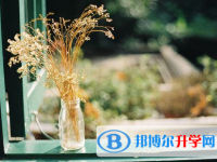德阳2021年中考考试成绩