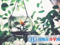 德阳2021年中考考试技巧