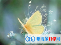 德阳2021年中考录取行情