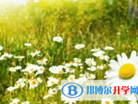 德阳2021年中考填志愿统招和调剂