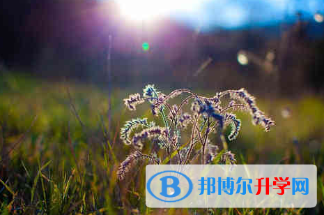 德阳2021年中考听力