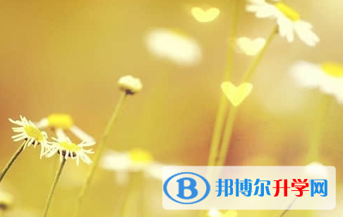 德阳2021年中考网上报名模拟