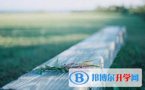 德阳2021年中考志愿如何填写