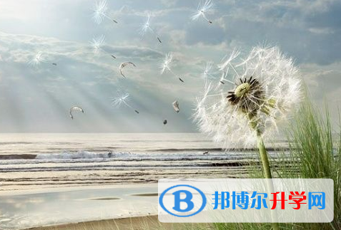 德阳2021年中考志愿填法