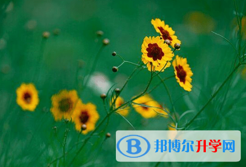 德阳2021年中考最新政策