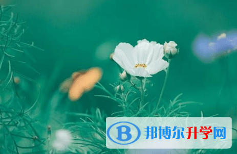德阳2021年今年中考统招线包括哪些区域