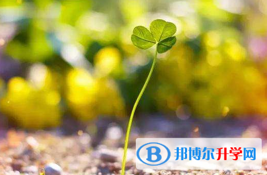 德阳2021年中考技巧和注意事项