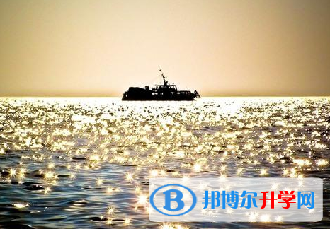 绵阳2021年网上查询中考成绩怎么查询