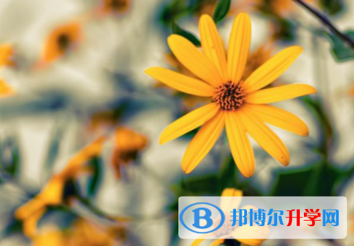 绵阳2021年历年中考重点
