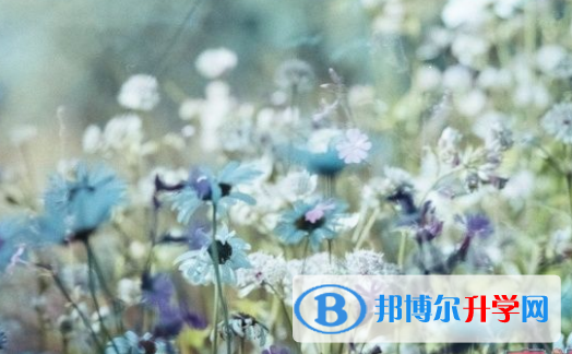绵阳2021年中考报名号