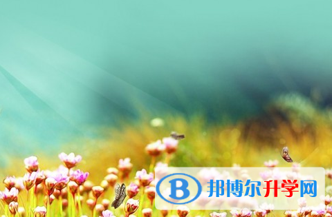 绵阳2021年中考考点有哪几个