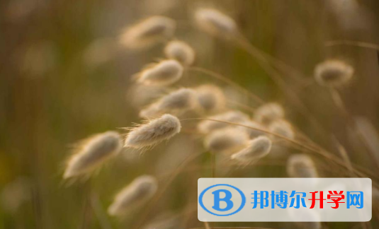 绵阳2021年中考没考上可以复读吗
