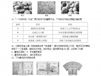 绵阳2021年中考试题