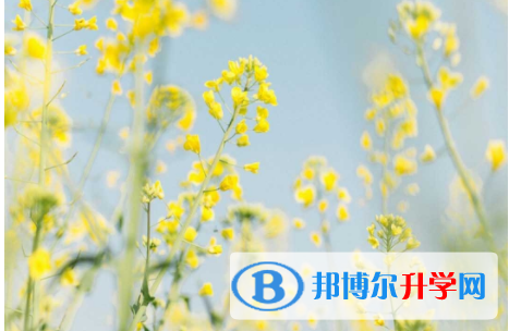 绵阳2021年中考特长生招生简章