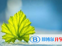 绵阳2021年中考信息服务平台