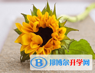 绵阳2021年中考重点线