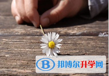绵阳2021年中考咨询热线电话号码