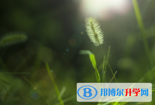 绵阳2022年中考应对策略