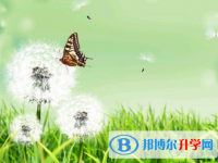 绵阳2022年中考招生学校
