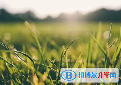 绵阳2022年中考是什么时候