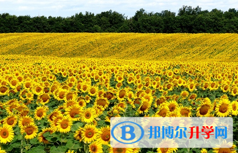 绵阳2022年中考没有考上怎么办