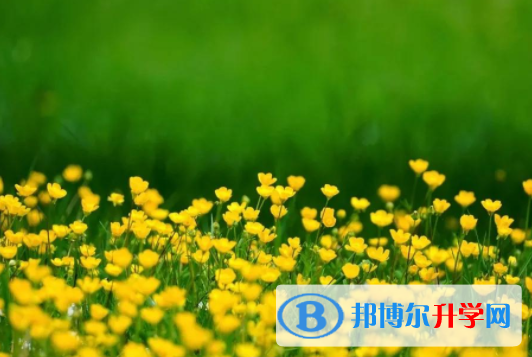 绵阳2022年孩子中考家长怎么做