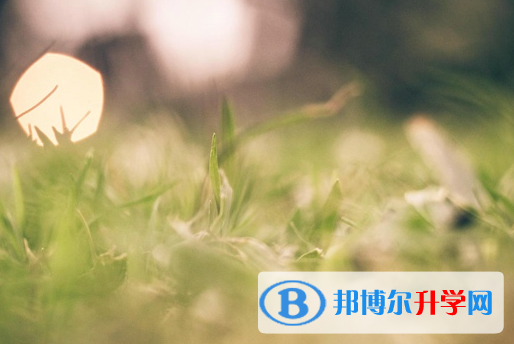绵阳2022年如何改中考志愿