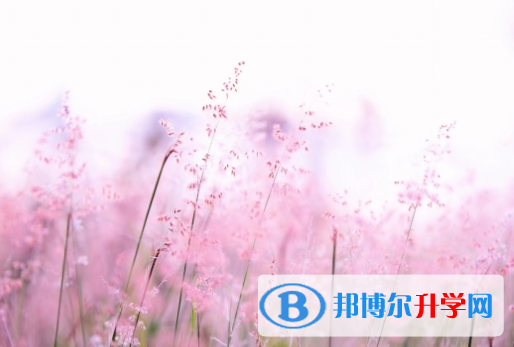 广元2022年中考成绩公布时间