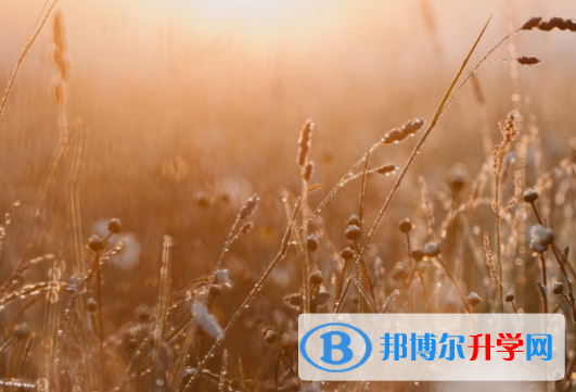 广元2022年中考成绩没考好怎么给家长说