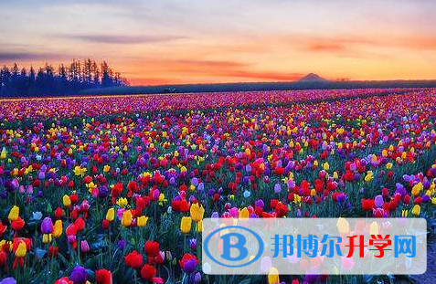 广元2022年中考成绩什么时间知道